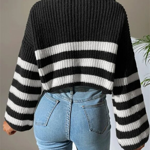 Striped Half Zip Cropped Sweater - Picture 10 of 14